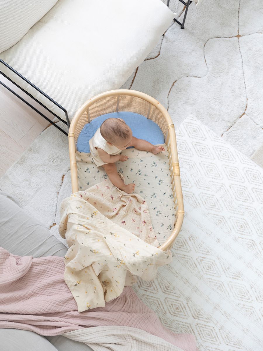 Best 2024 organic bassinet